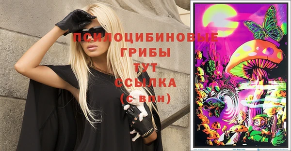 крисы Армянск