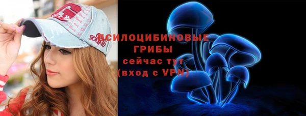 дживик Дмитриев