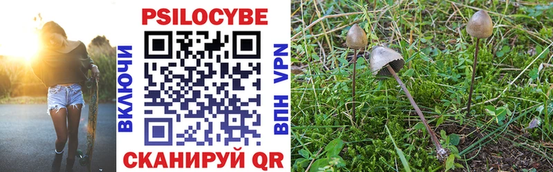 Псилоцибиновые грибы Psilocybine cubensis  закладки  Полярный 